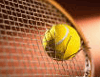Tennis Ball and Racquet 